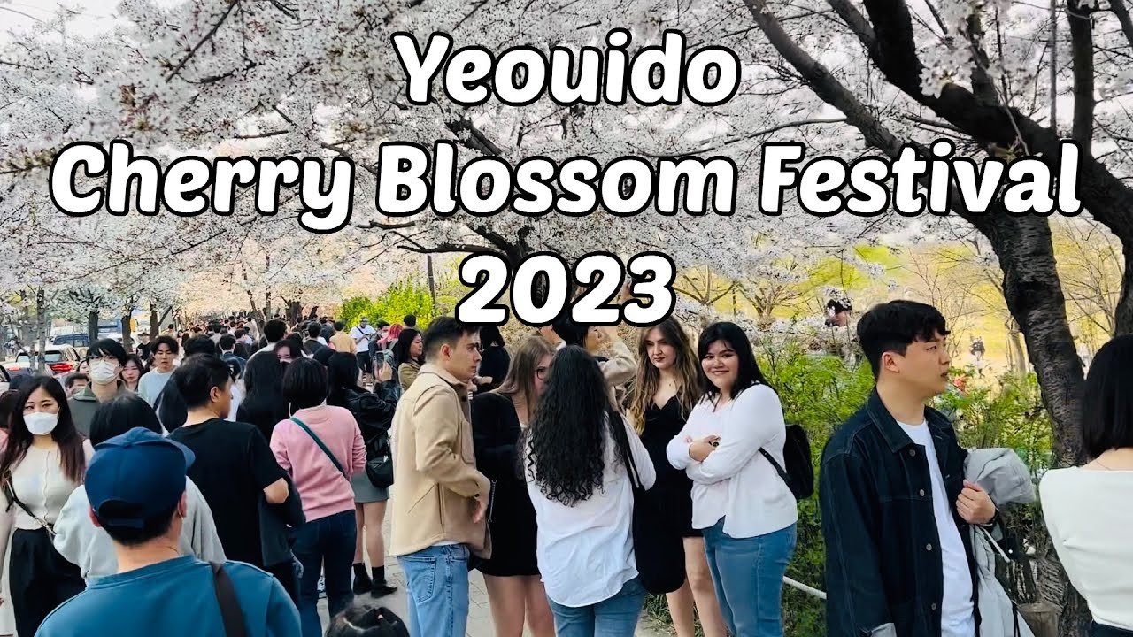 Yeouido Cherry Blossom Festival 여의도벚꽃축제 2023