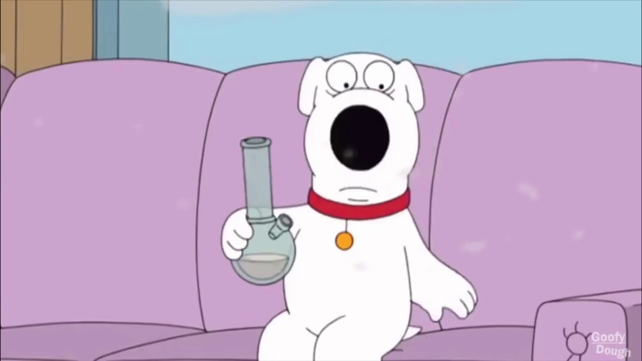 Family Guy - Brian Legalizes Pot