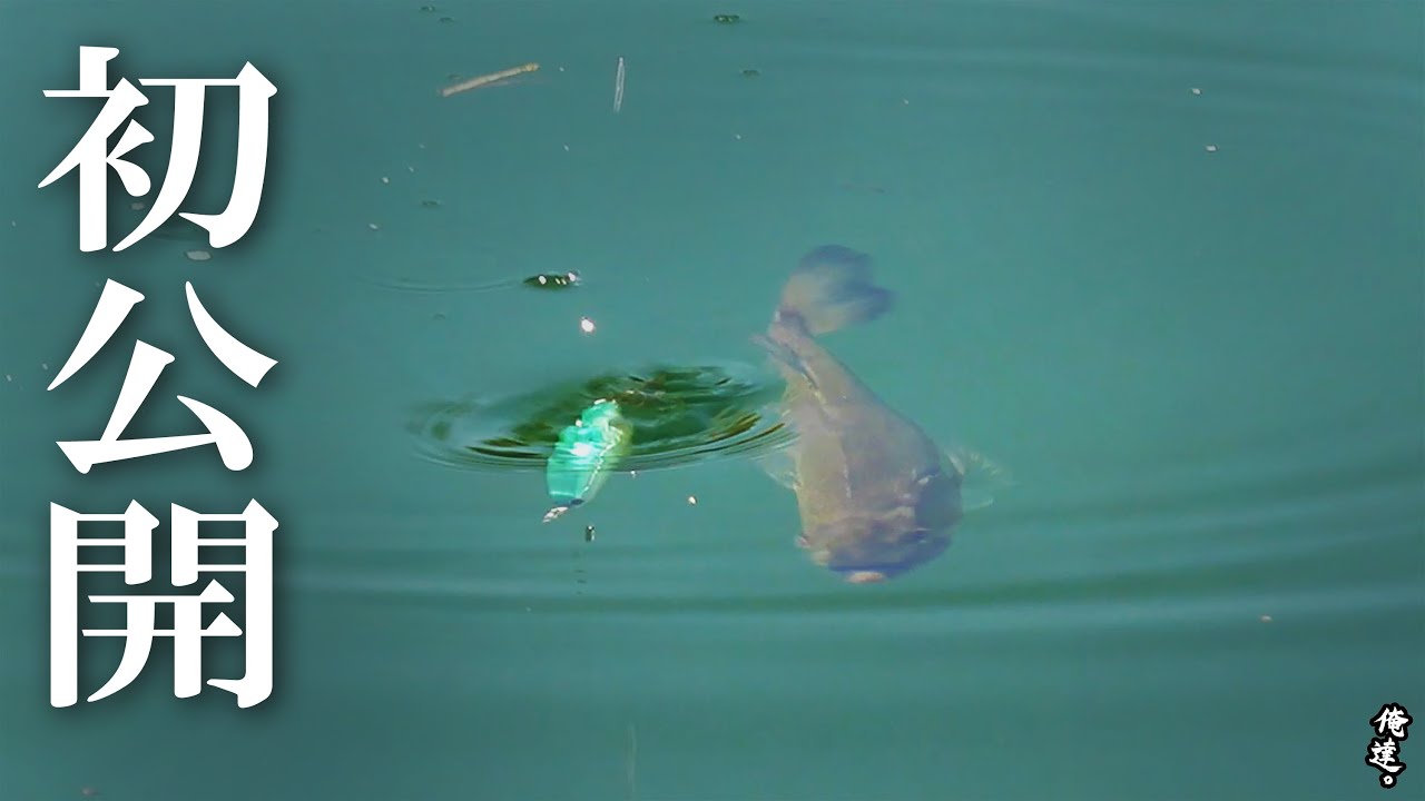 【FISH MAGNET】始動‼第１弾ルアー公開します。