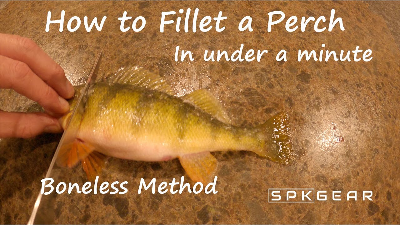 How to Fillet Perch in Under a Minute