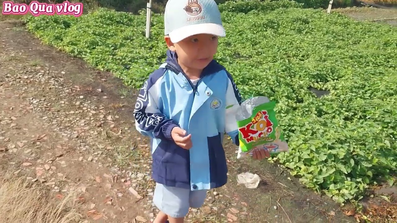 Mời ông bà cô chú xem cảnh đồng quê...