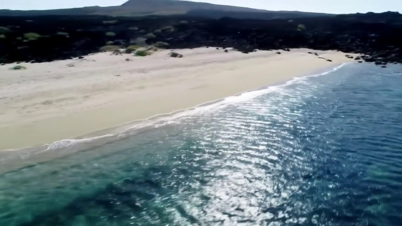 Ibiza Summer Mix 🍓 Best Of Tropical Deep House Music Chill Out 🍓 Chillout Lounge #part22