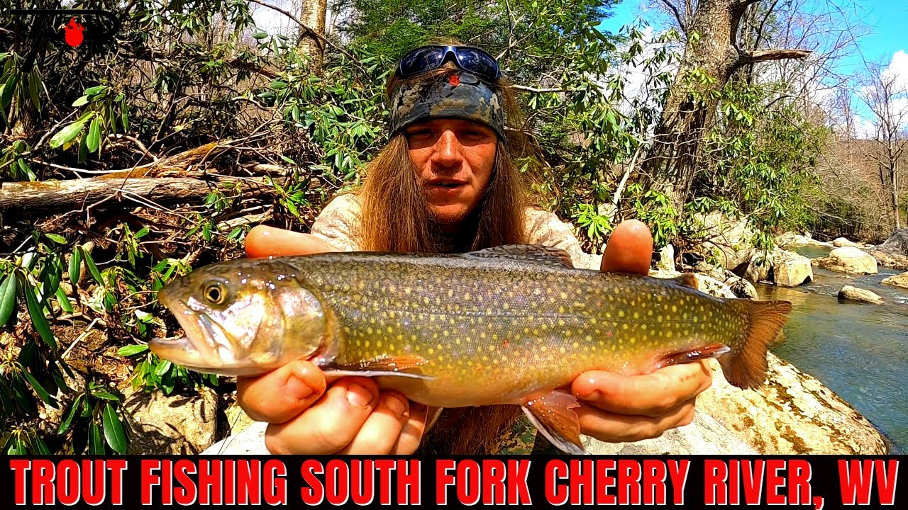 Trout Fishing Cherry River WEST VIRGINIA