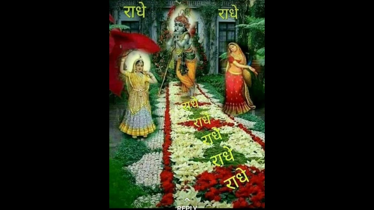 11 Feb 26 Prem Ras Madira Pad 348 Pl Like Subscribe Share and Comment #song #music #love #viralvideo