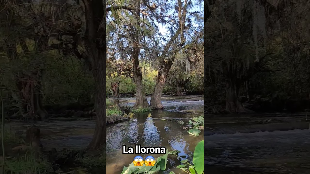 The river la llorona drowned her kids in 😱😱
