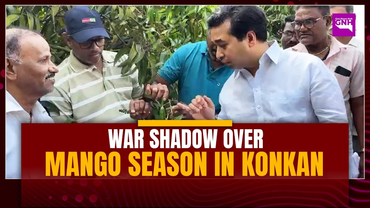 WAR SHADOW OVER MANGO SEASON IN KONKAN