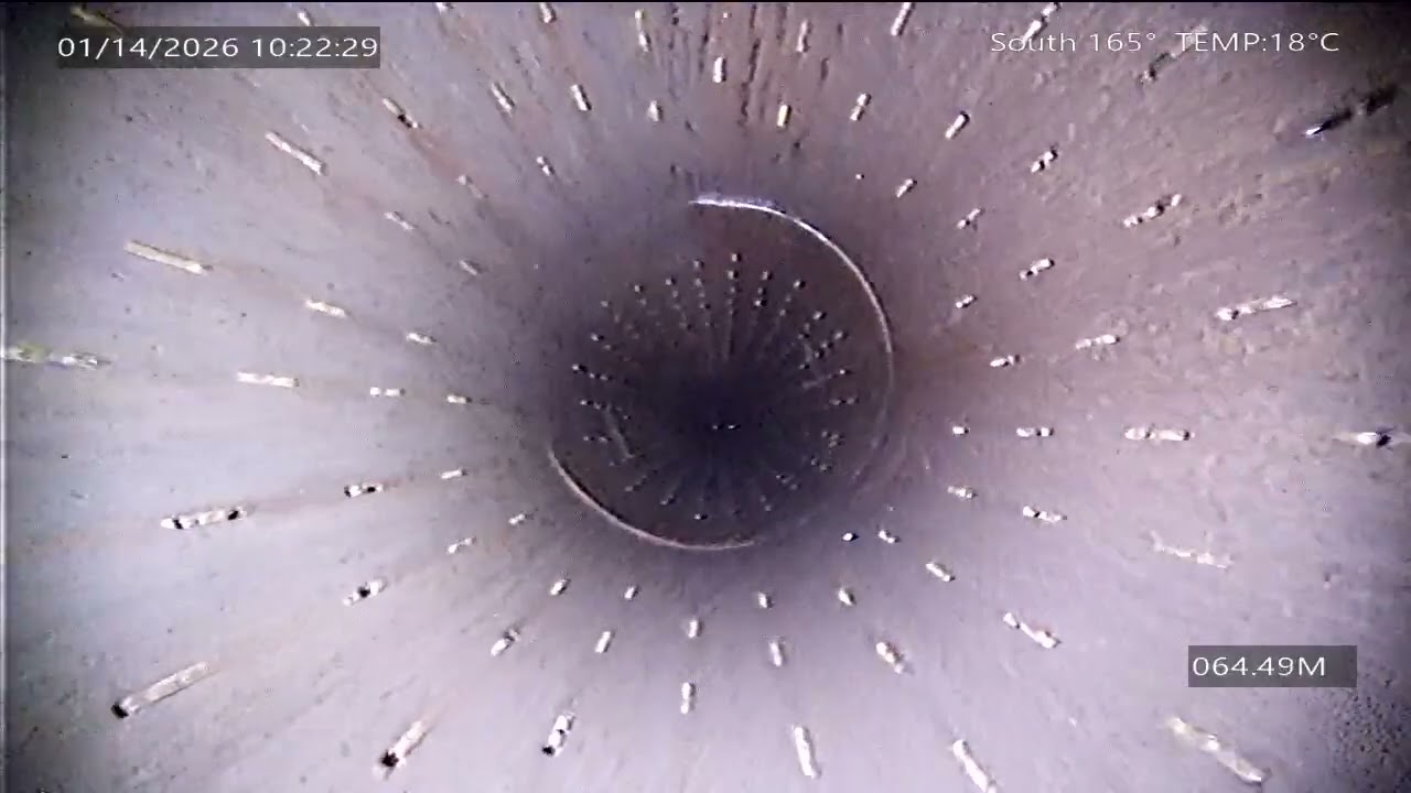 No 260