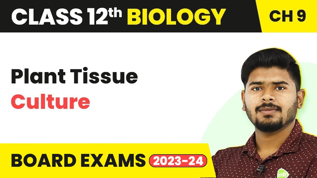 Plant Tissue Culture - Strategies for Enhancement in Food Production | Class 12 Biology (2022-23)