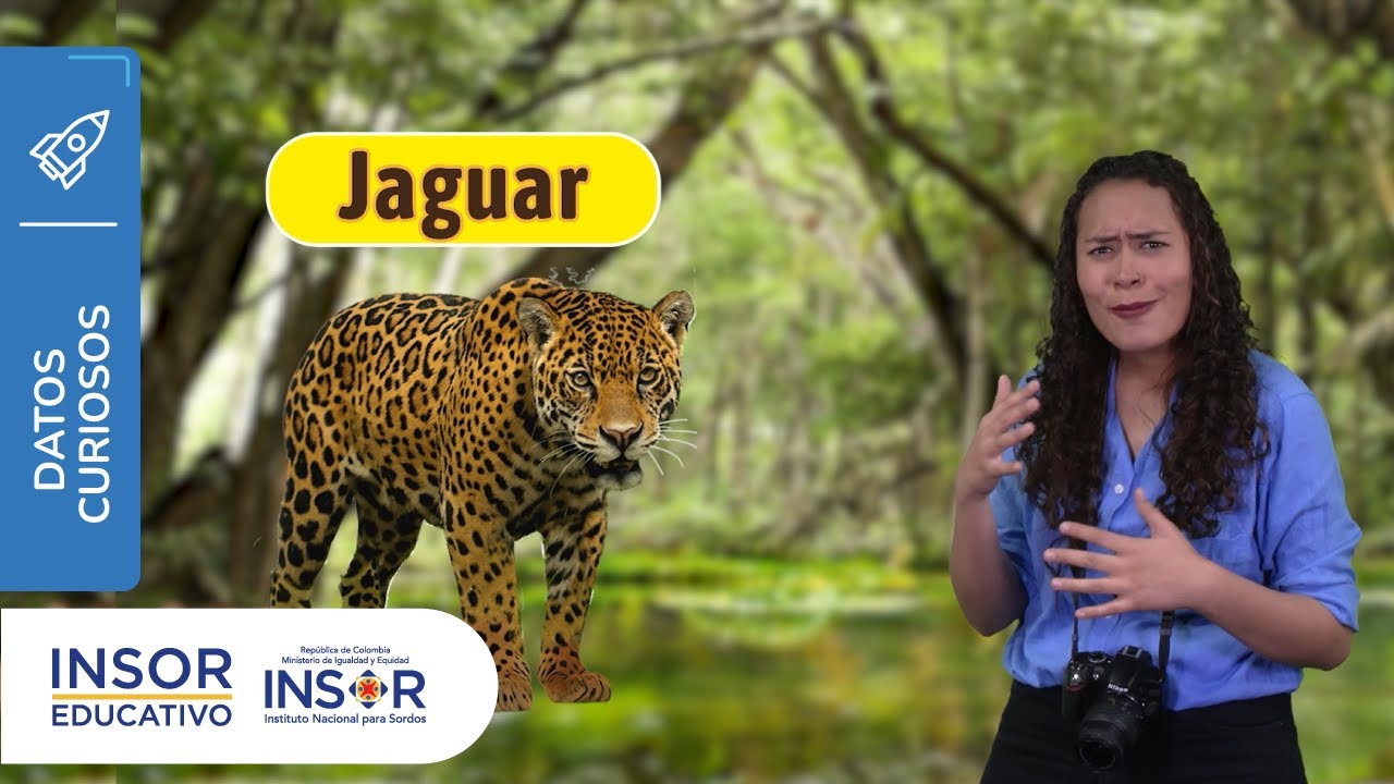 Animales del Amazonas_en Lengua de Señas Colombiana_Dato Curioso