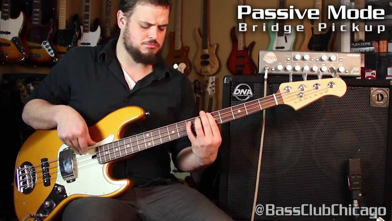DNA Amps 1350 Bass Head demo by Bass Club Chicago