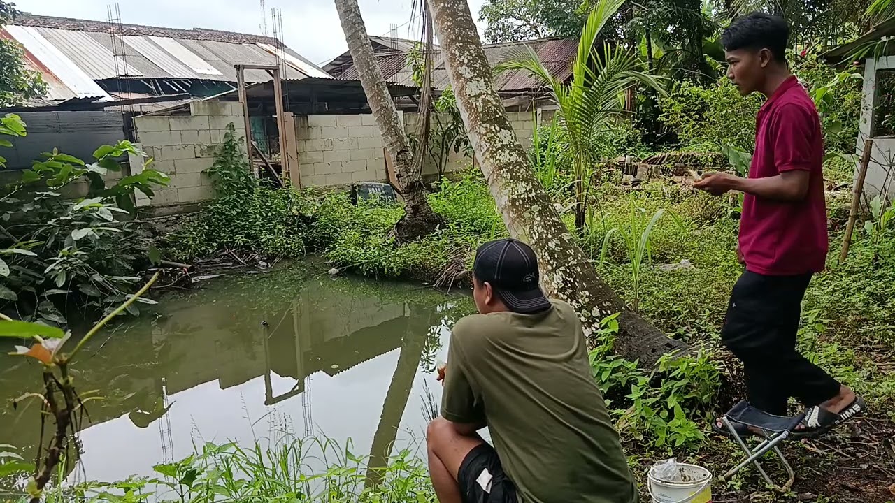 Mancing dapat ikan betok dari jaman firaun