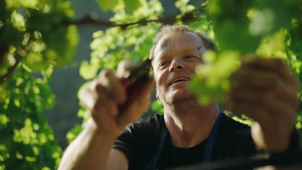 Kellerei Eisacktal | Imagefilm