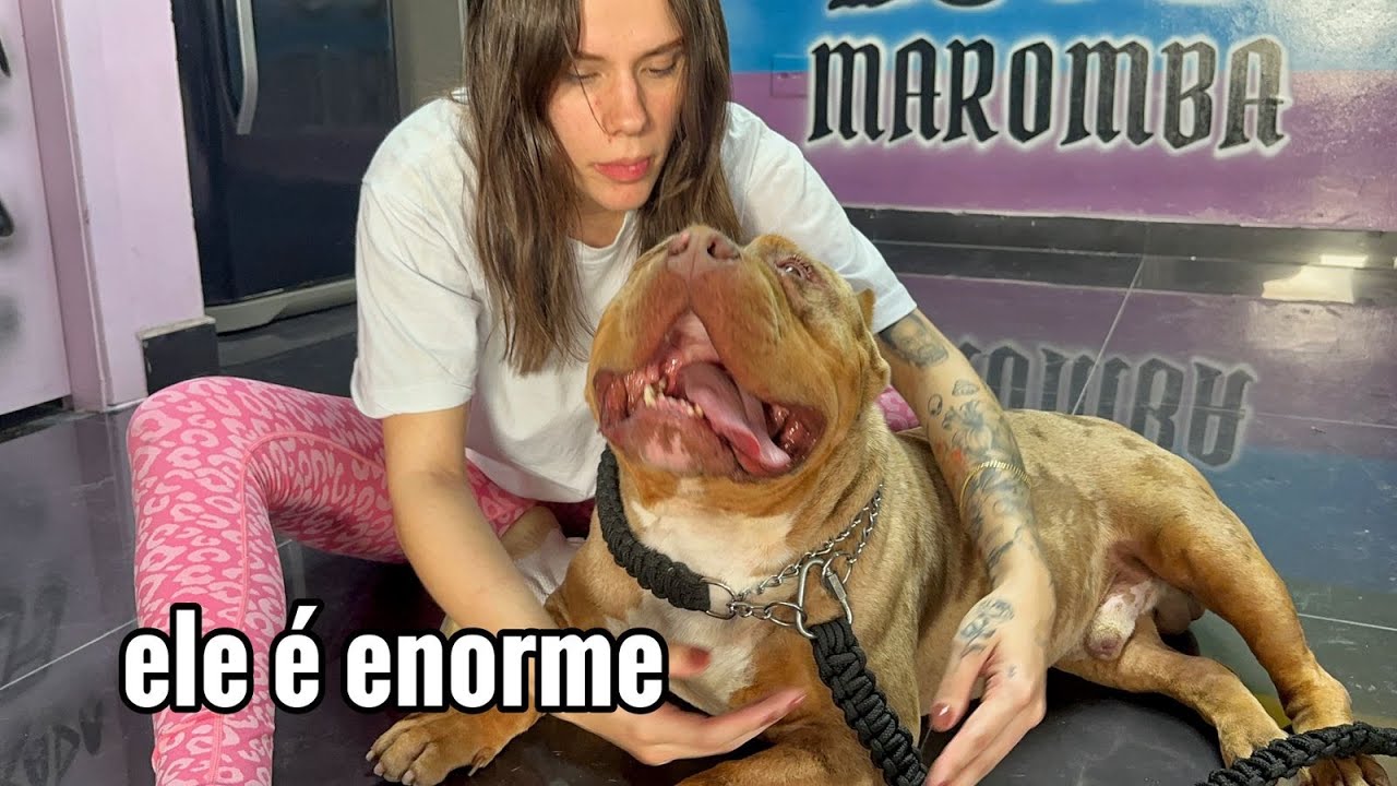 ESSE CACHORRO NÃO NARA