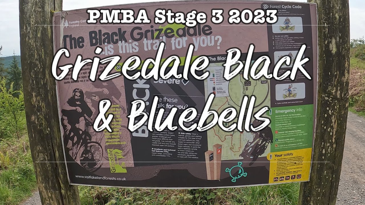 Grizedale Black into Bluebells MTB Trail  - PMBA Stage 3 2023 - Graythwaite Enduro MTB