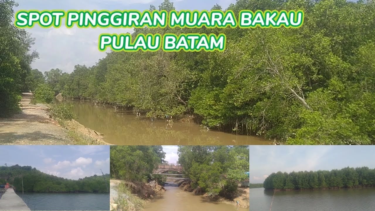 SPOT MANCING PINGGIRAN MUARA BATAM || SPOT IKAN MANGGROVE, BARONANG DAN SEMBILANG #spotmancing