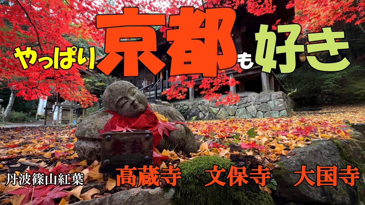 【見頃｜紅葉情報】『 京都混雑大嫌いだぁ』お勧め丹波篠山｜高蔵寺｜文保寺｜大国寺｜雨音で輝き、朱色に染まる美しさは言葉に尽くし難い。一枚一枚の葉が、秋の訪れを讃える紅葉　＃京都＃京都観光　＃kyoto