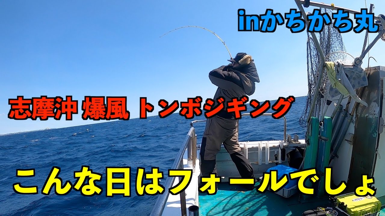 【トンボジギング】なんて日だ！！
