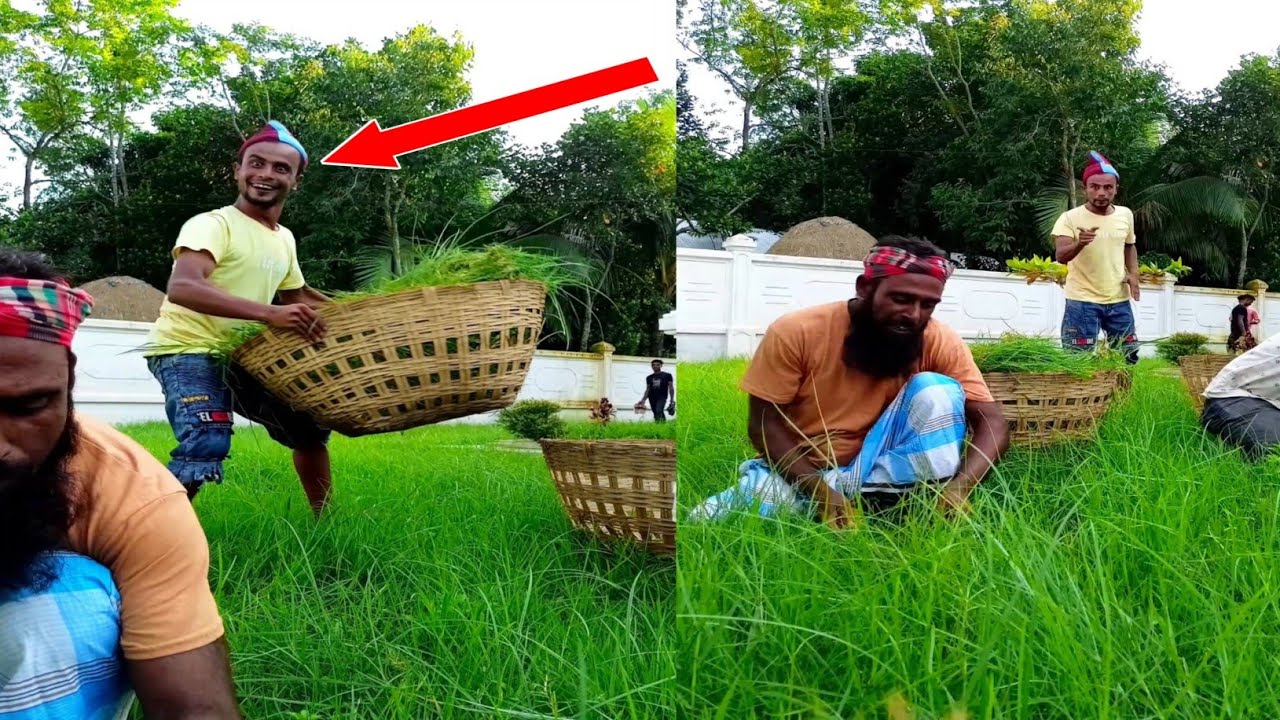 গরুর ঘাস কাটতে গিয়ে যা ঘটলো