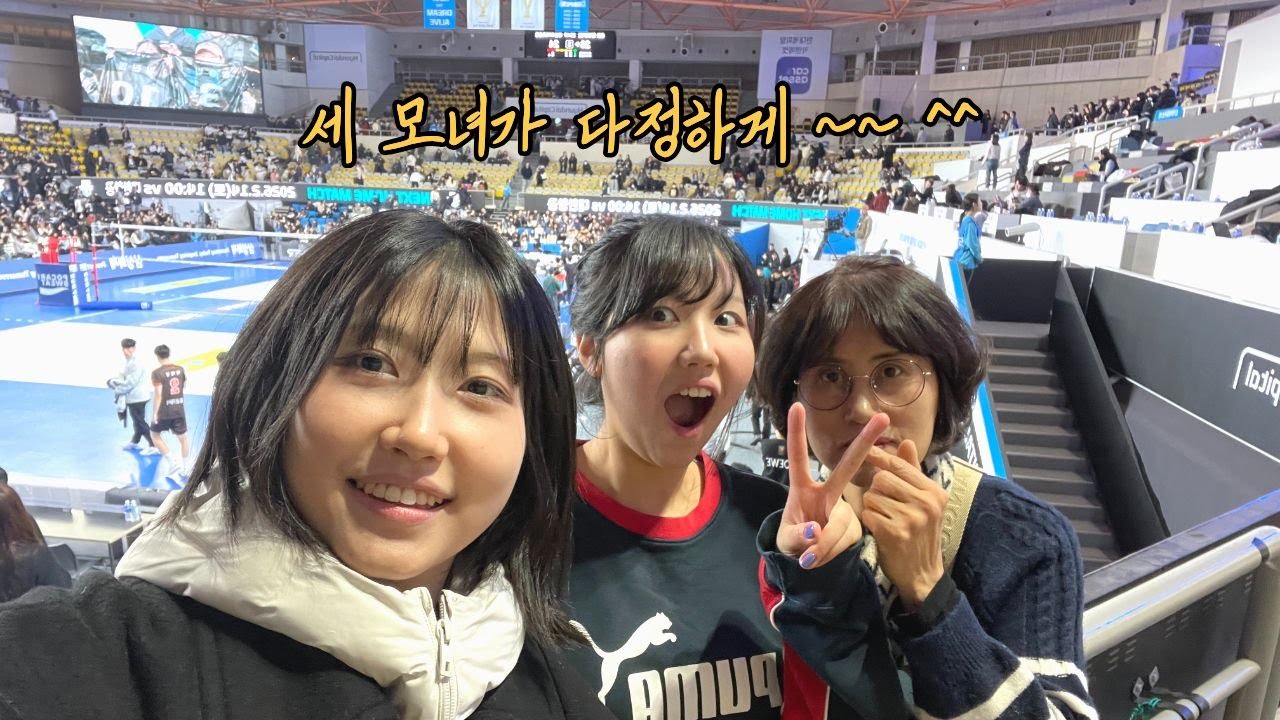 배구 나들이
