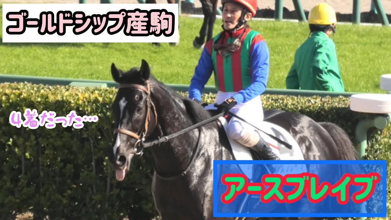 【ゴールドシップ産駒】４着で悔しいアースブレイブ、首ブンブンもしちゃう❗️