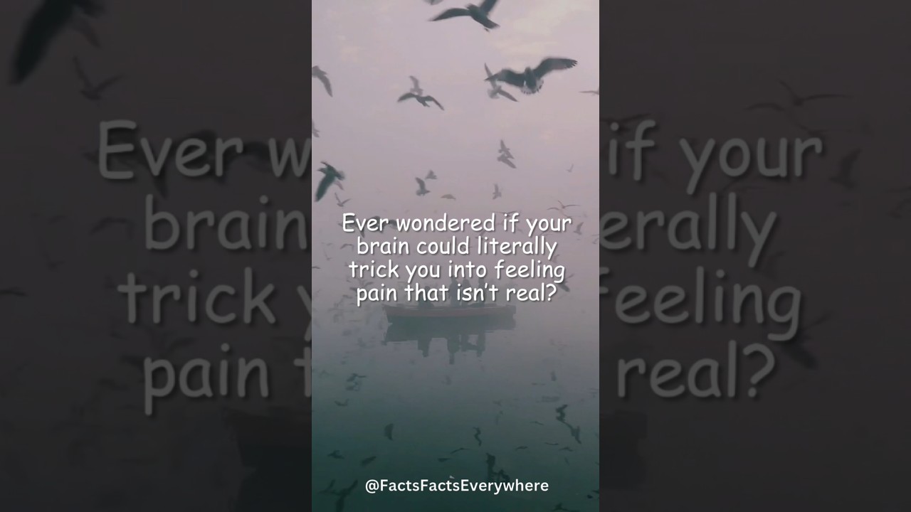"Your Brain Can Feel Pain That Isn’t Real! 🧠😱 | Mind-Blowing Psychology Fact" | 