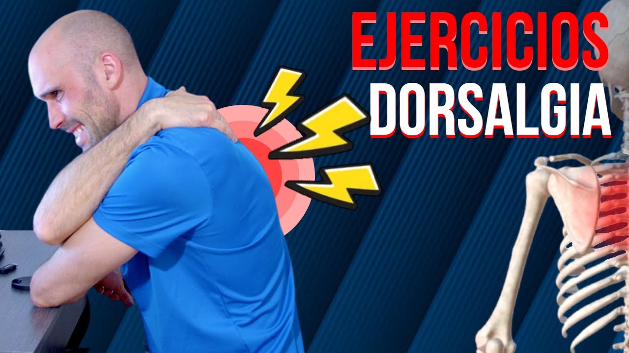 RUTINA de ejercicios para la DORSALGIA SENTADO