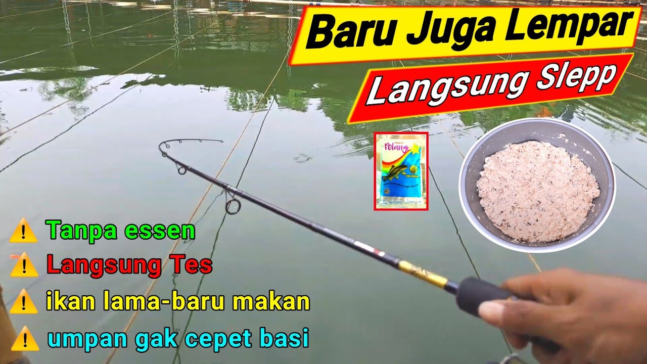 °Endog Vanila🤭 !! Umpan yang bisa bikin ikan mas mendekat dan merapat.