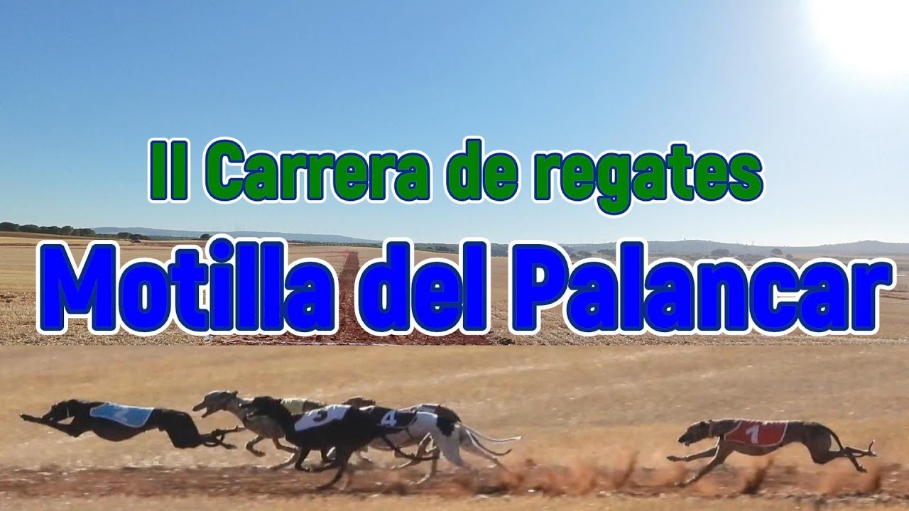II Carrera de Regates en Motilla del Palancar, sábado 30 de agosto 2025