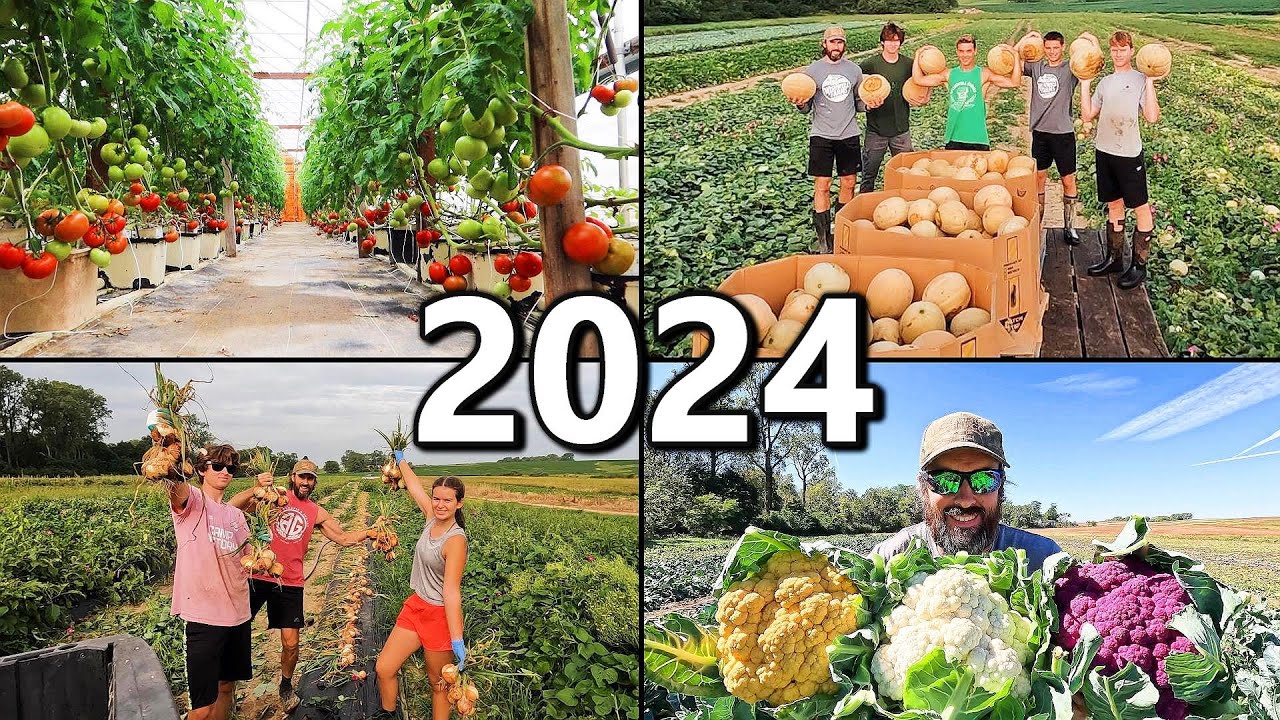 A VEGETABLE FARMER’S AMAZING 2024 — FROM PLANTING TO HARVEST