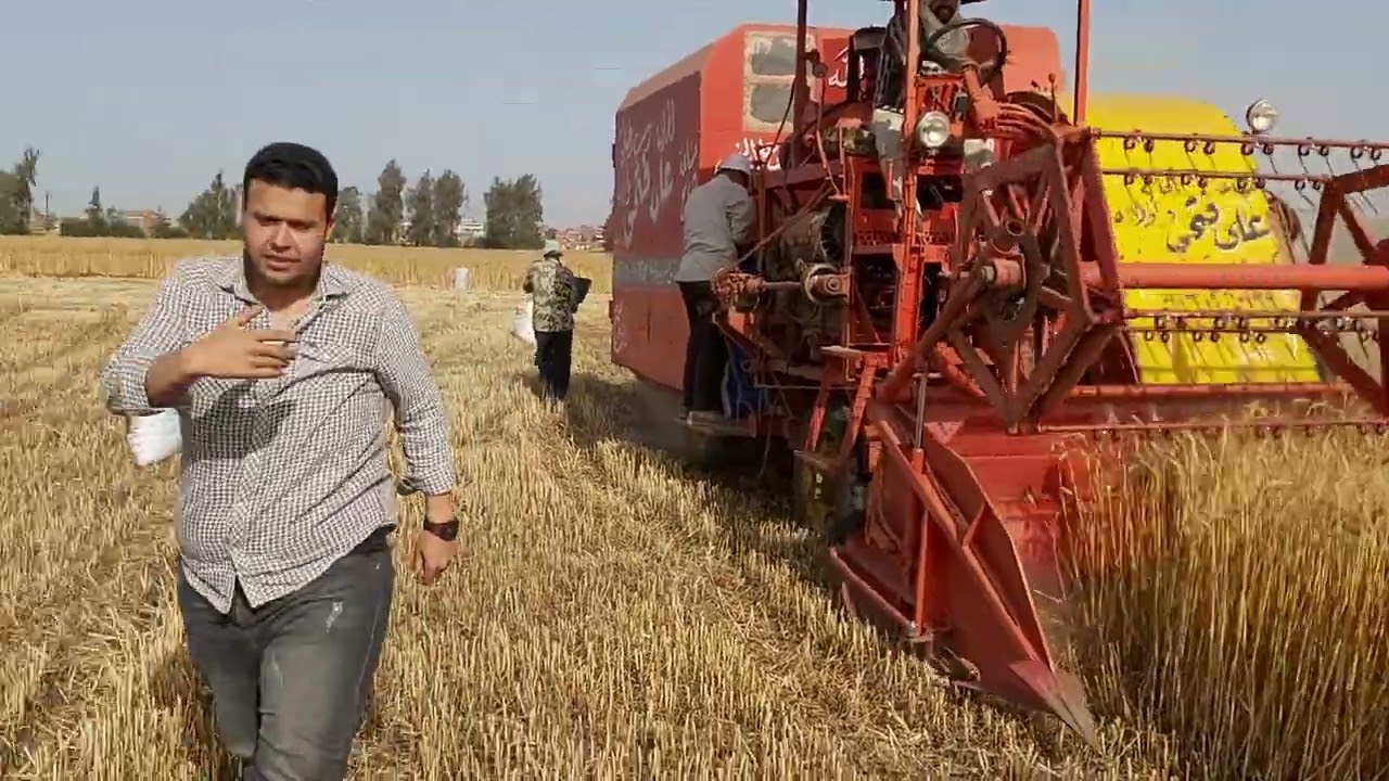 ضم القمح وتخزين التبن 01032362048