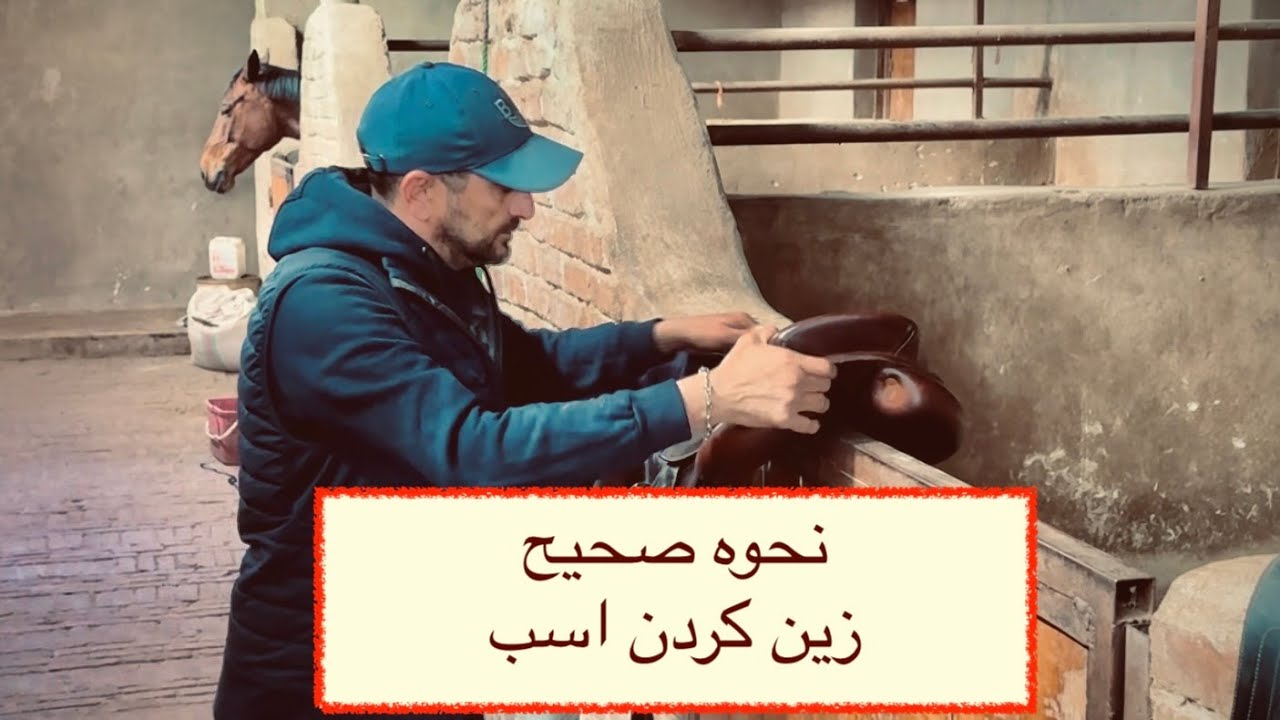 نحوه صحیح زین کردن اسب