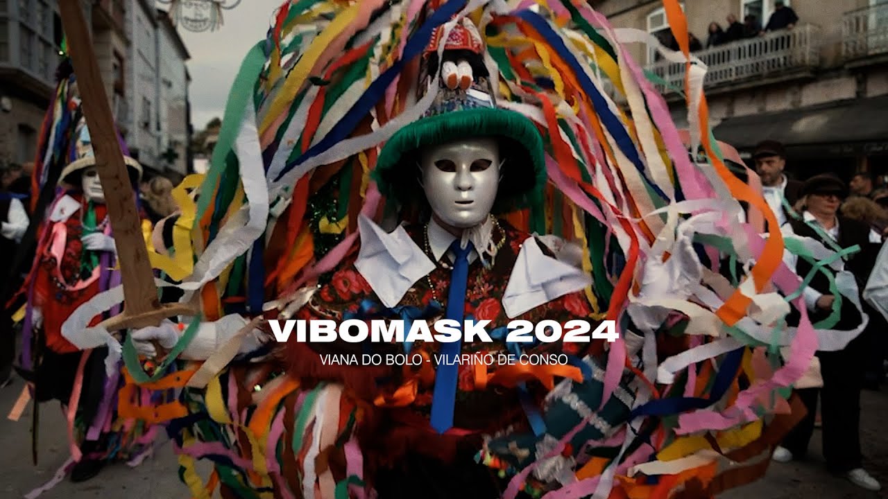 ViBoMask 2024
