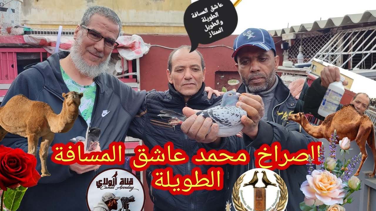 كنطرول مسابقة بوكراع عند البطل الكبير صراخ محمد 13/03/2022