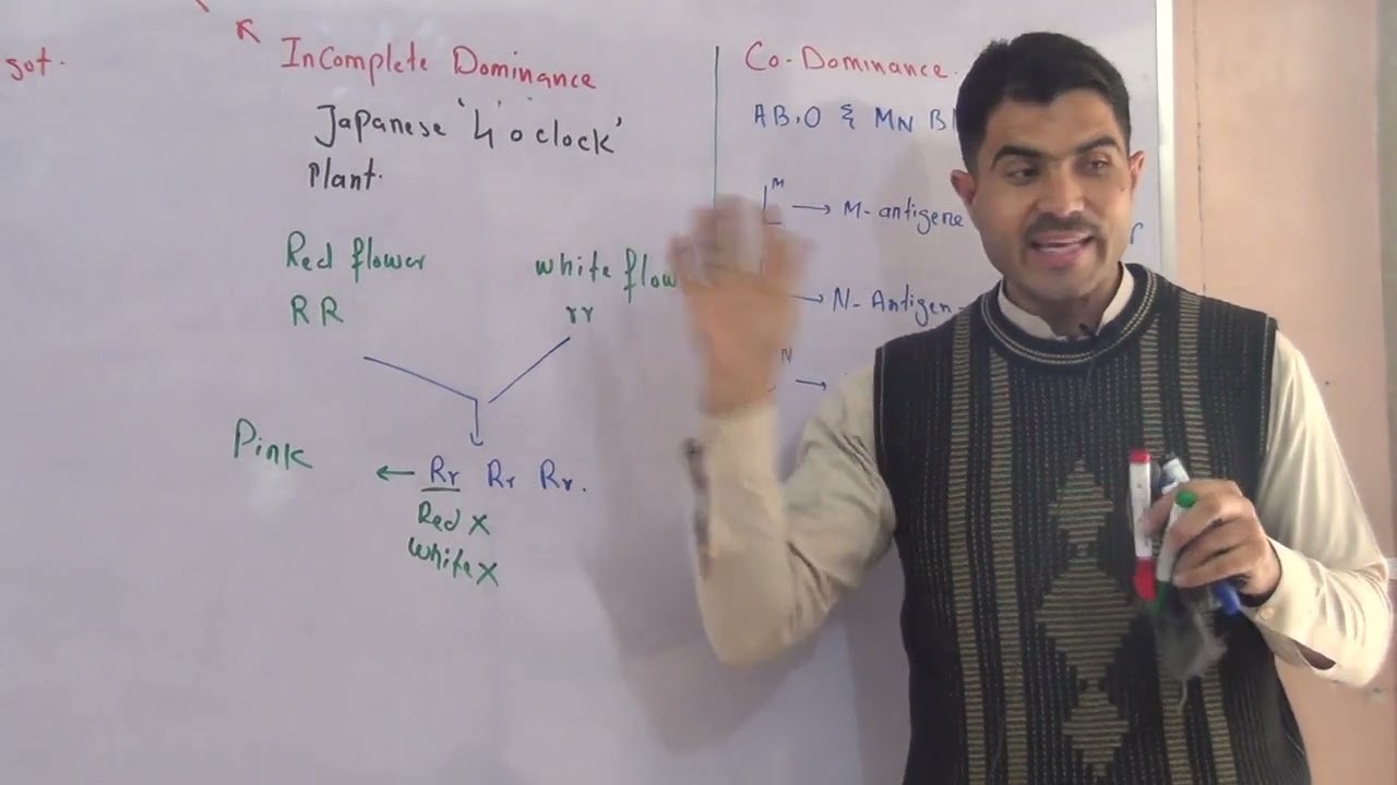 L-9 Dominance relationship and its types, incomplete dominance, Co-dominance and over dominance