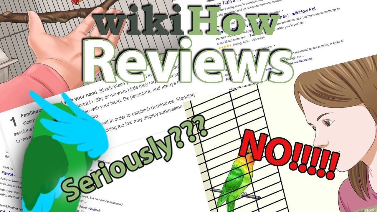 Wiki How Taming Tutorials | Wiki Reviews