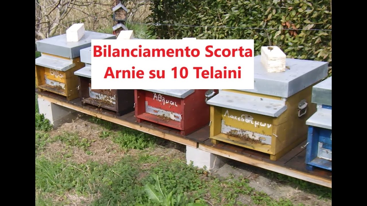 Apertura Arnie. Bilanciamento Scorte anche per dare Telaini con solo Foglio Cereo alle Api.