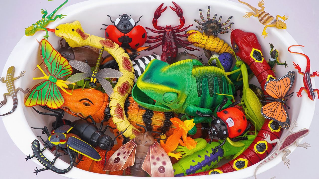 🦎toy asmr🦎ZURU Robo Alive Insect Compilation ASMR | Chameleon, Snake, Crocodile, Lizard (No Talking)