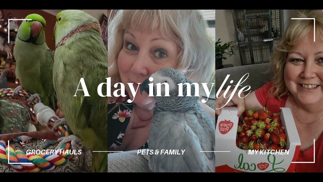 Grocery Haul: Sobeys Kraft Promo, and Superstore 