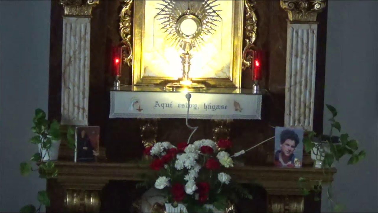 ADORACIÓN EUCARÍSTICA PERPETUA