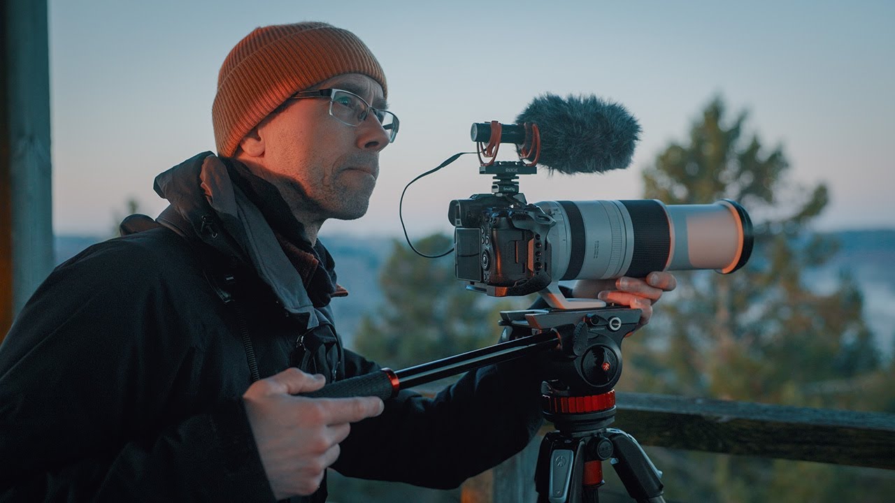 Filming Birds: A Forest Tower Morning in Finland | Birdsong & Cinematic Nature