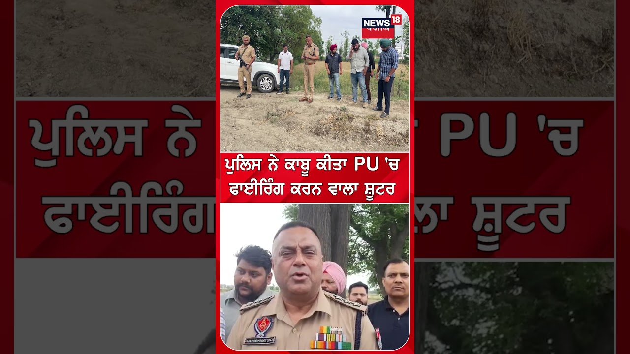 Police ਨੇ ਕਾਬੂ ਕੀਤਾ PU 'ਚ ਫਾਈਰਿੰਗ ਕਰਨ ਵਾਲਾ ਸ਼ੂਟਰ | PU Firing News | #shorts | N18S