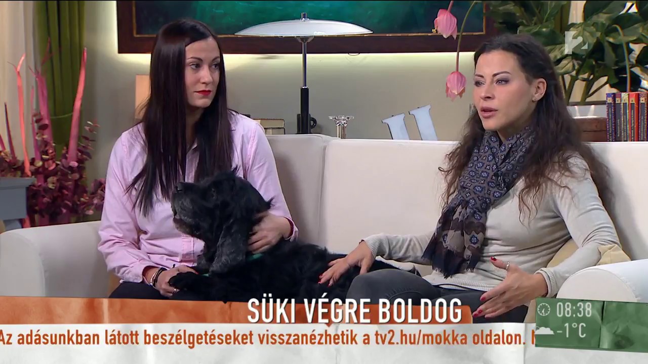 Tornóczky Anita elárulta, miért érdemes idősebb kutyát örökbe fogadni - tv2.hu/mokka