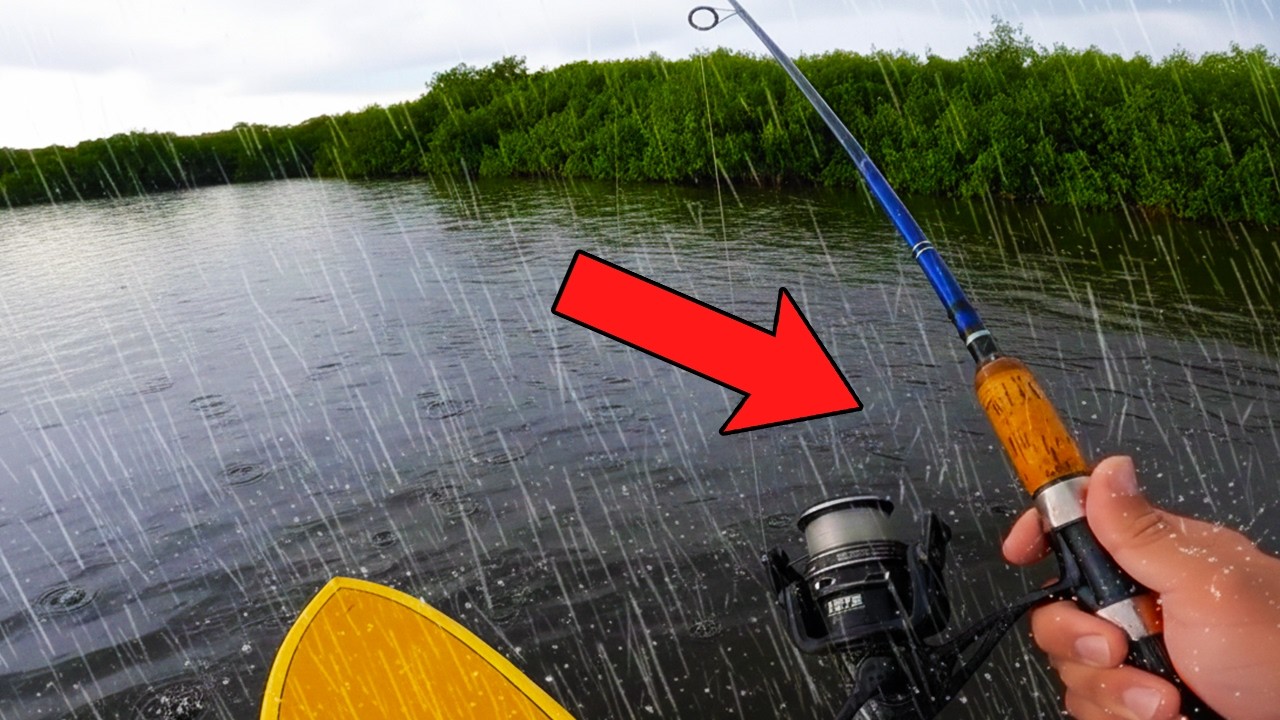 Рыбалка с сапборда под дождем!