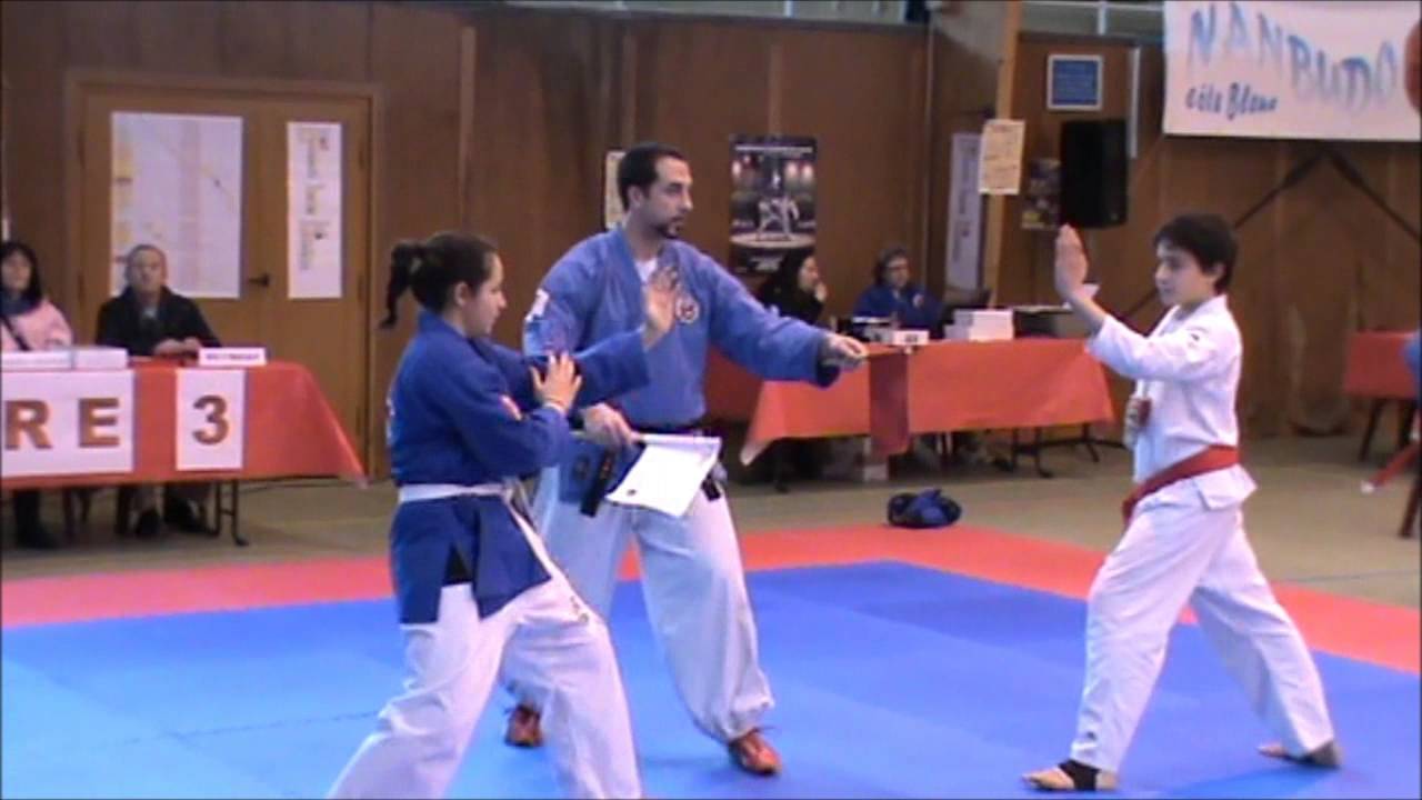 2014 Coupe de Provence  Nanbudo