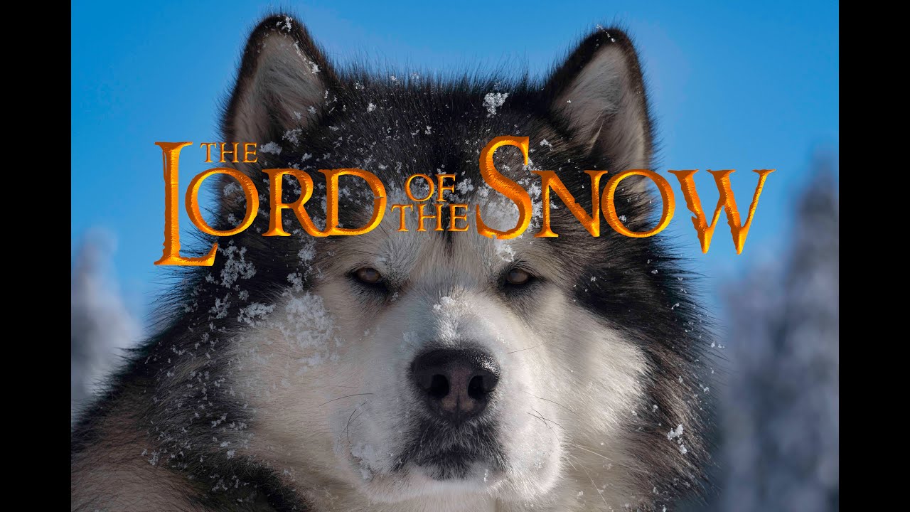 The Lord of the snow