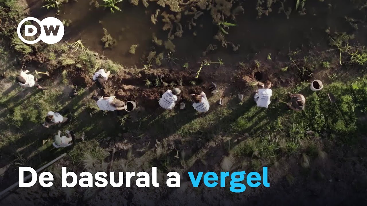 Recomposici&oacute;n ambiental en el Gran Buenos Aires
