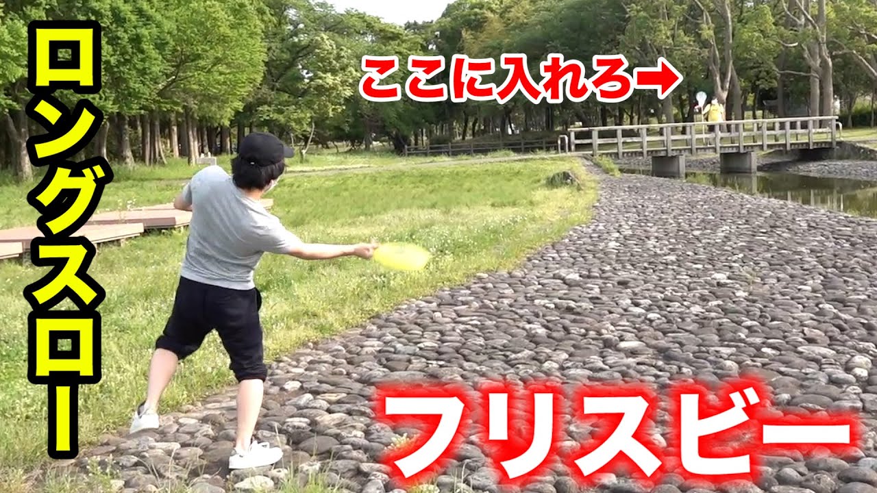 フリスビーをそこからネットに入れてください。
