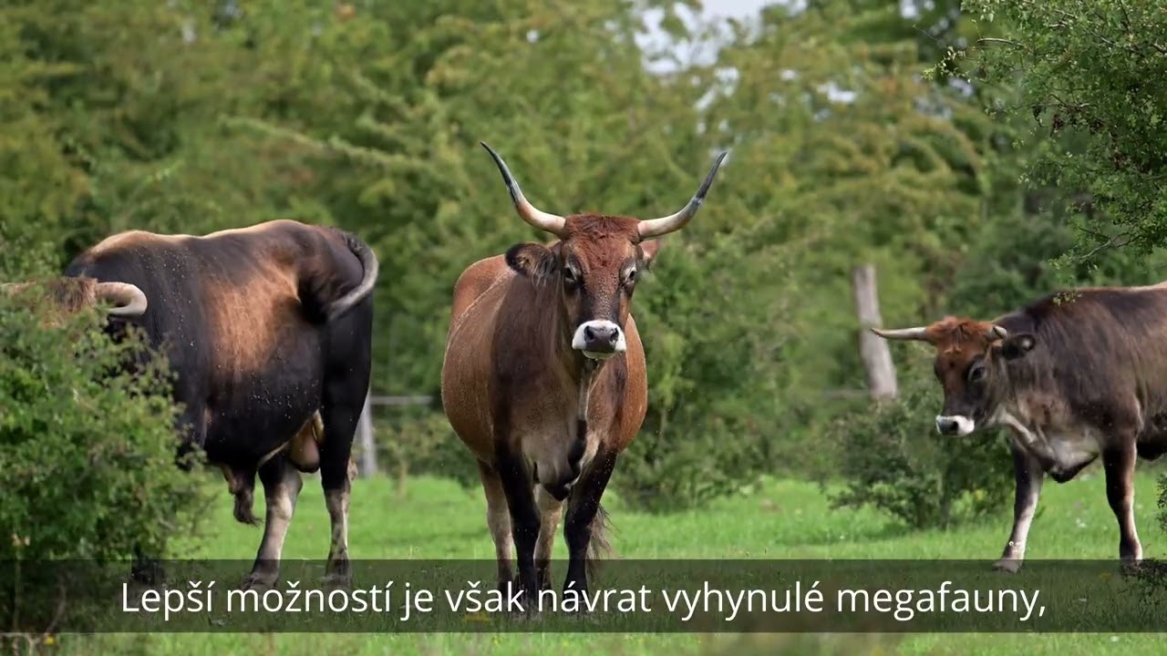 Záchrana a obnova krajiny