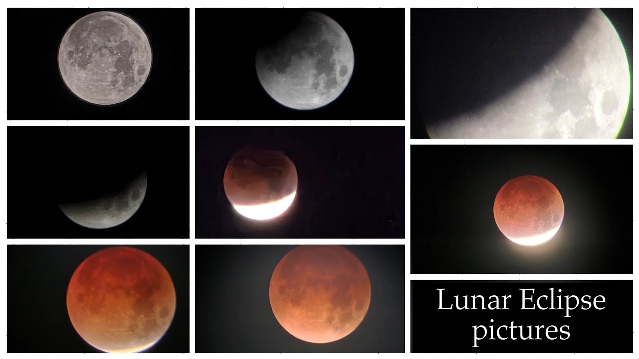 Lunar Eclipse pictures