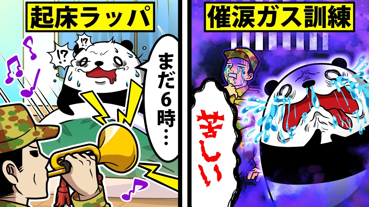 【アニメ】自衛隊に入るとどうなるのか？